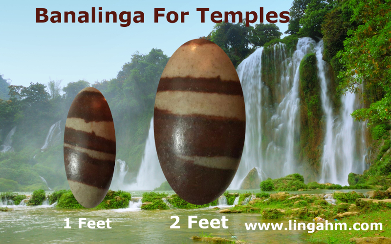 1 and 2 feet narmadeshwar shivling for temple