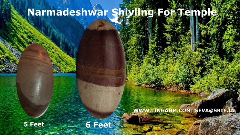 5 and 6 feet narmadeshwar shivling for temple